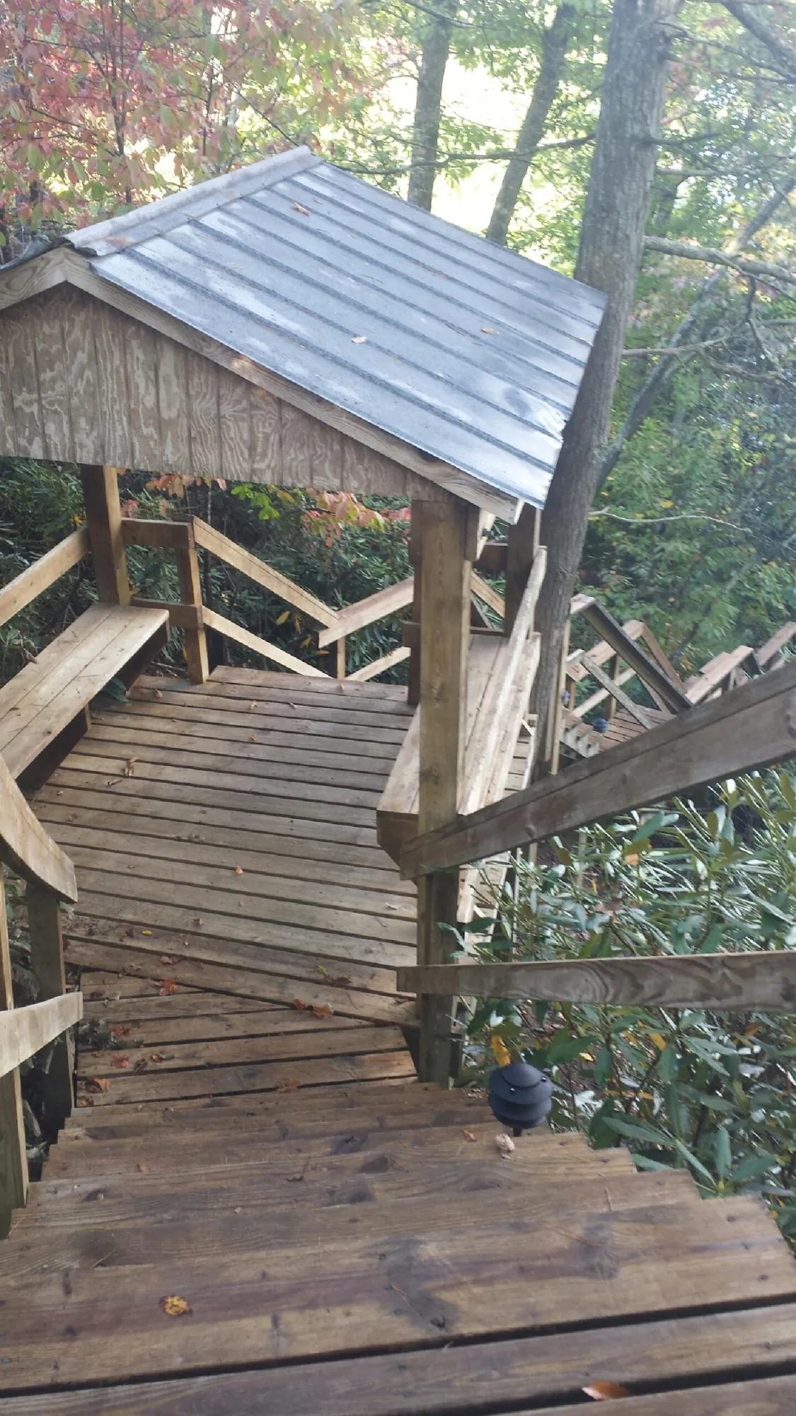 Metal roofed shelter over wooden steps on a wooded walkway — Skylight Repair & Installation work by our crew in Roseburg