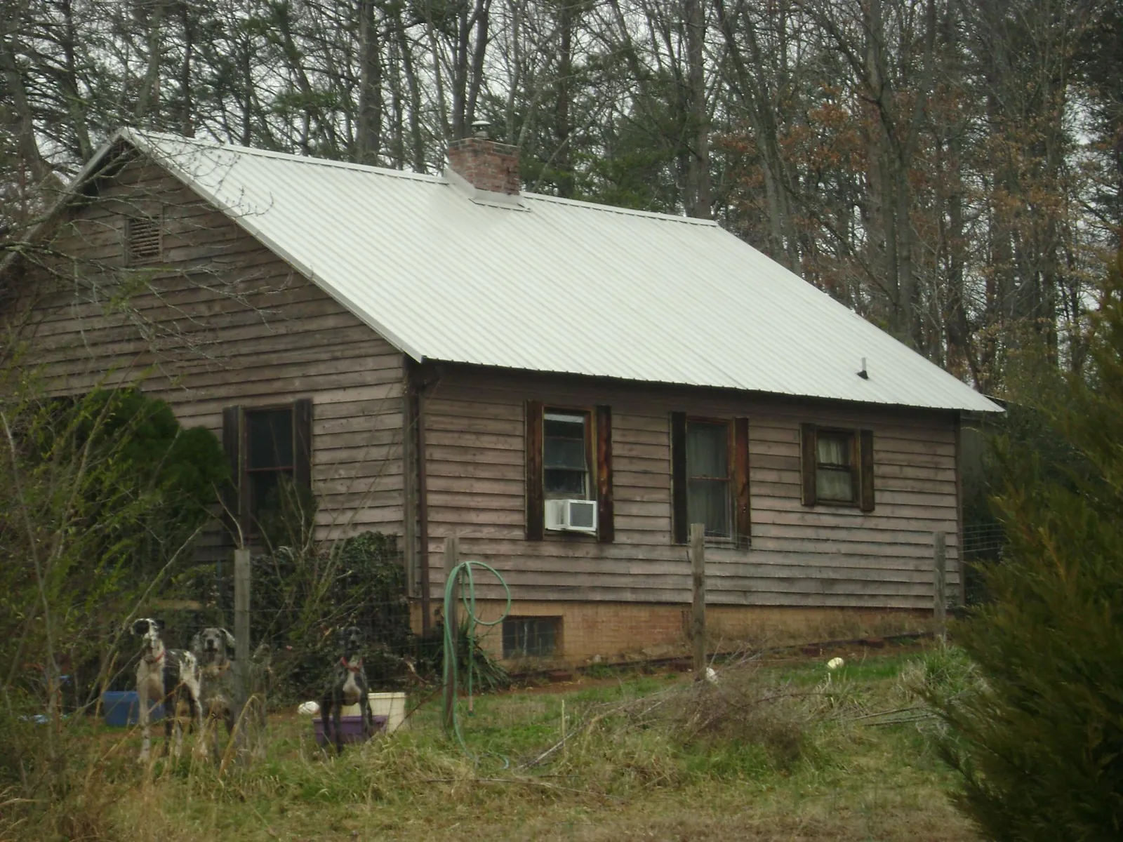 White metal roof on an old wood sided farmhouse, from a Asphalt Shingle Roof Repair job in Roseburg